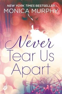 Never Tear Us Apart: Never Series 1 Monica Murphy