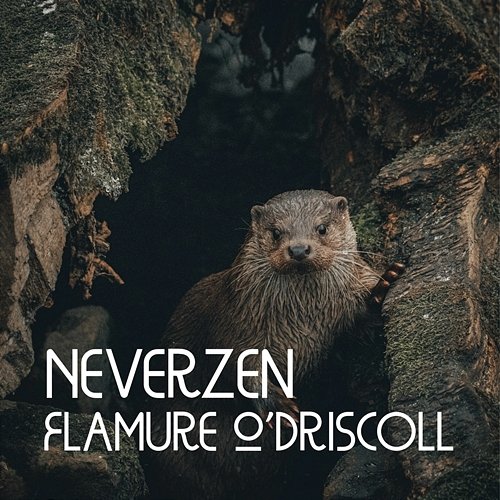 Neverzen Flamure O Driscoll