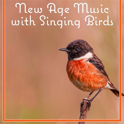 New Age Music with Singing Birds: Yoga Sun Salutation Position, Zen Natural Sounds, Mind Relaxation and Deep Massage Yoga Training Music Sounds
