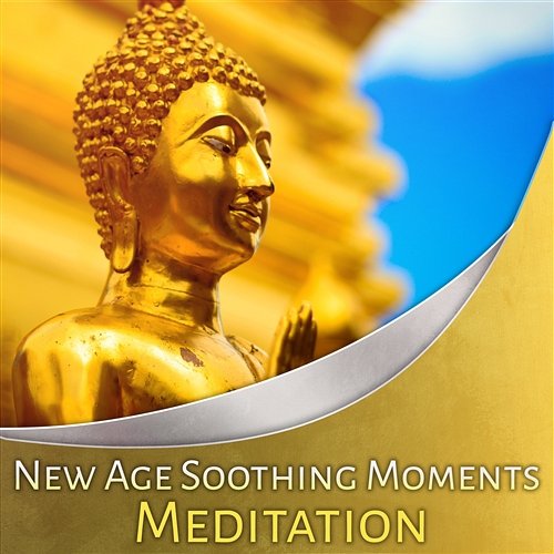 New Age Soothing Moments: Meditation - Asian Zen Moods, Music for Soul Healing, Yoga Meditation, Zen Relaxation, Reiki Serenity & Restful Sleep Various Artists