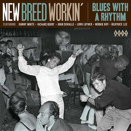 New Breed Workin': Blues with a Rhythm Various Artists