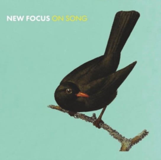 New Focus On Song Stevenson Euan, Wiszniewski Konrad