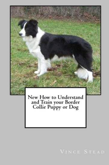 New How to Understand and Train Your Border Collie Puppy or Dog Stead Vince