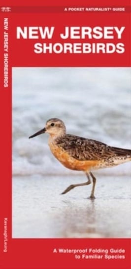 New Jersey Shorebirds: A Waterproof Folding Guide to Familiar Species Opracowanie zbiorowe