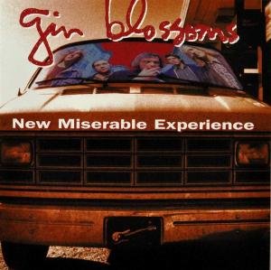 New Miserable Experience Gin Blossoms
