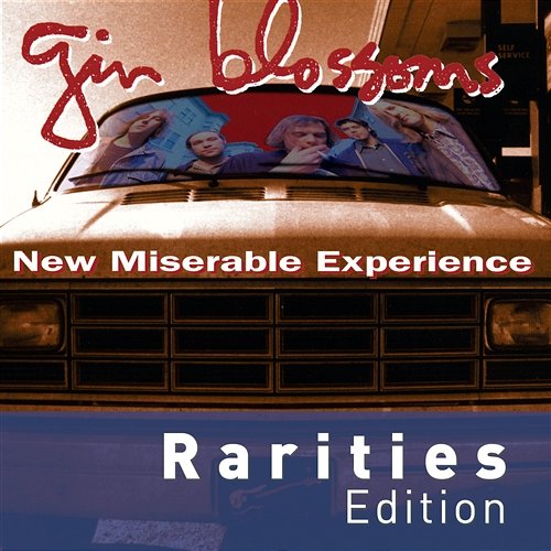 Just South Of Nowhere Gin Blossoms