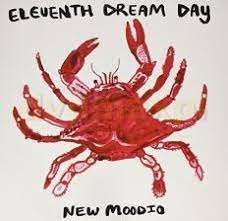 New Moodio, płyta winylowa Eleventh Dream Day