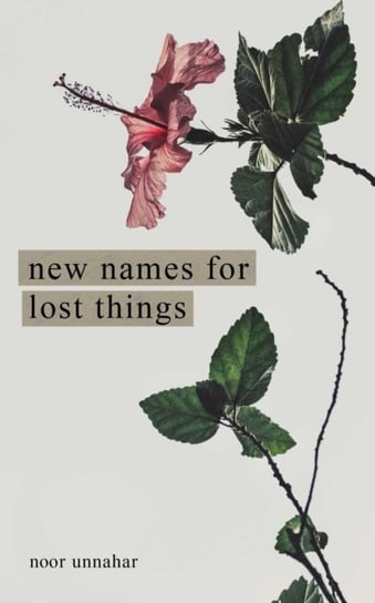 New Names for Lost Things Unnahar Noor