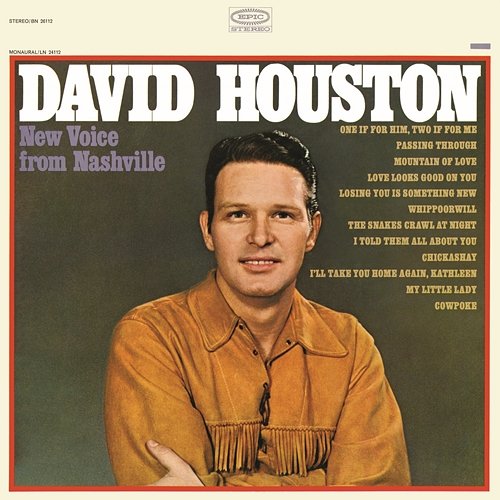 New Voice from Nashville David Houston