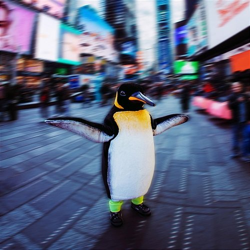 New York Rocket Pengwin