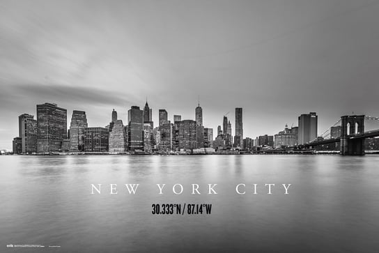 New York City Skyline - Plakat 91,5X61 Cm / Aaaloe Inna marka