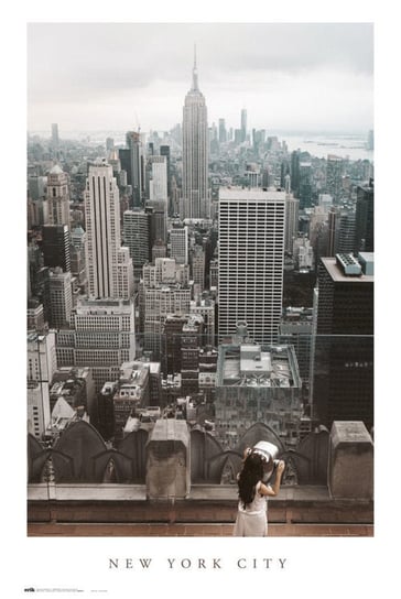 New York City Views - Plakat 61X91,5 Cm / Aaaloe Inna marka