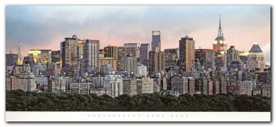 New York Skyline plakat obraz 50x23cm Wizard+Genius