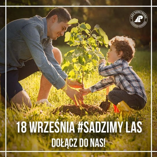 #News z lasu - SadziMy - Między drzewami - podcast - audiobook Opracowanie zbiorowe