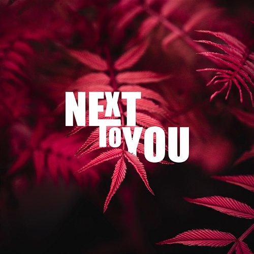 Next To You NS Records