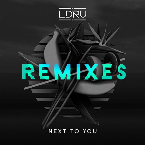 Next To You (Remixes) LDRU feat. Savoi
