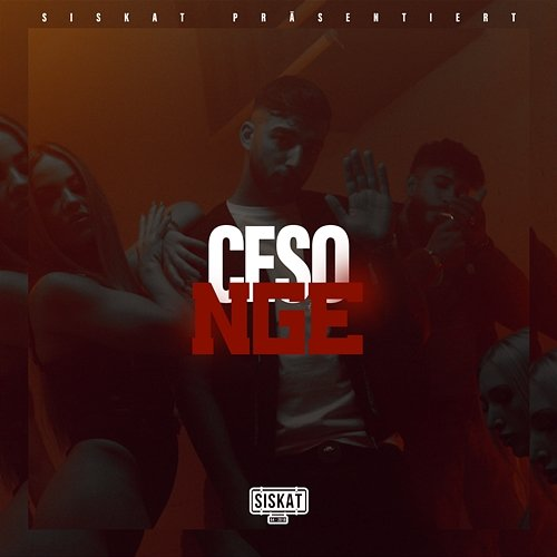 NGE Ceso