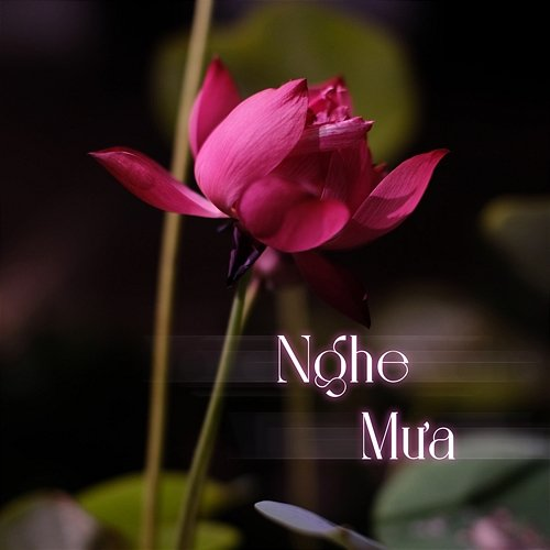 Nghe Mưa Hằng Han
