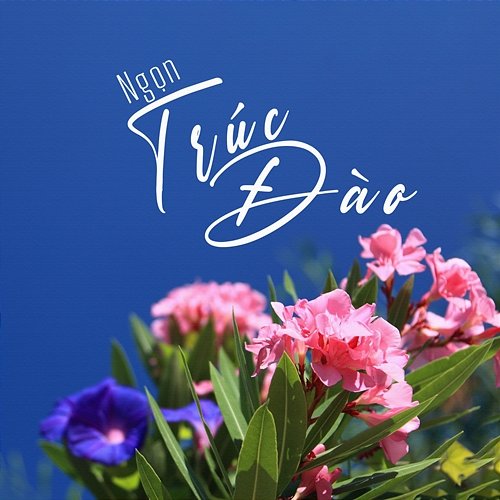 Ngọn trúc đào Tùng Anh