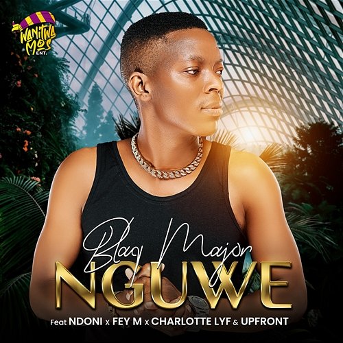 Nguwe Blaq Major feat. CHARLOTTE LYF, Fey M, Ndoni, Upfront