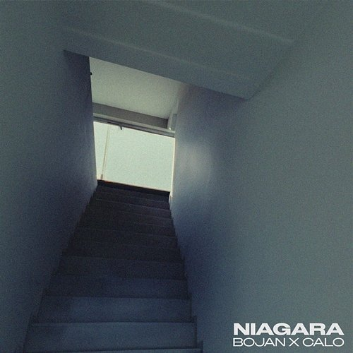 NIAGARA Calo, BOJAN