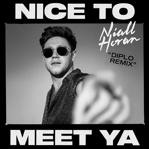 Nice To Meet Ya Niall Horan, Diplo