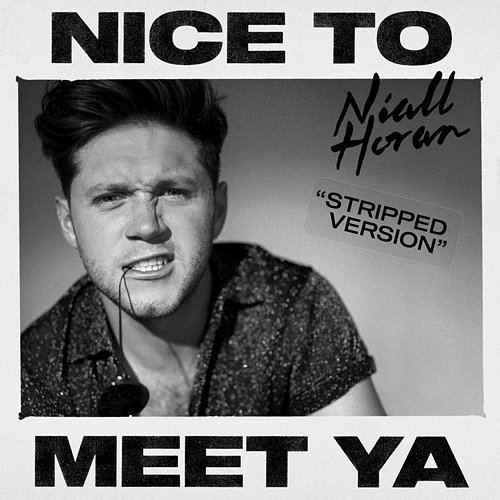 Nice To Meet Ya Niall Horan