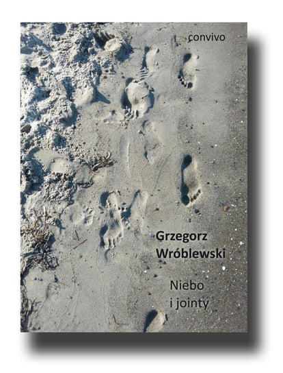 Niebo i jointy Wróblewski Grzegorz