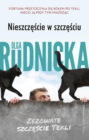 Nieszczęście w szczęściu - ebook epub Olga Rudnicka