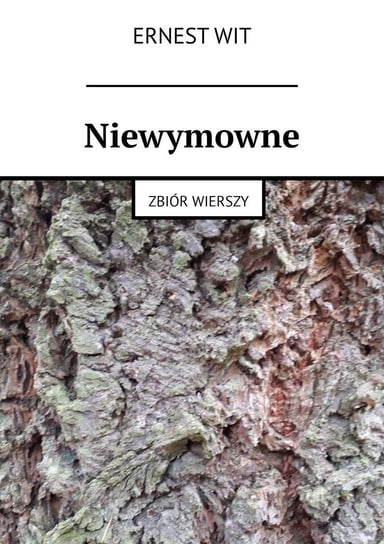 Niewymowne - ebook EPUB Wit Ernest