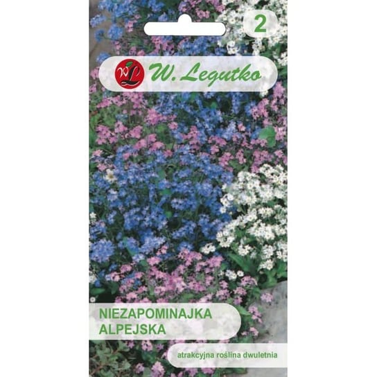 NIEZAPOMINAJKA MIX W.LEGUTKO