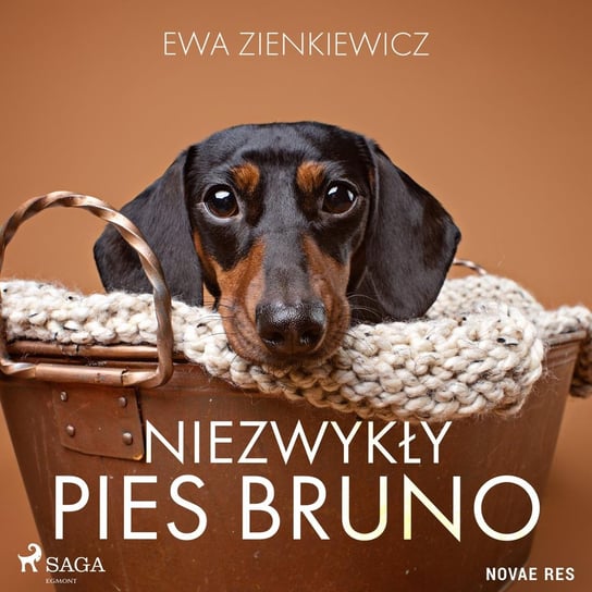 Niezwykły pies Bruno Zienkiewicz Ewa