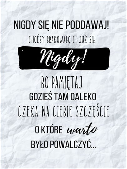 Nigdy się nie podawaj II - plakat 30x40 cm / AAALOE Inna marka