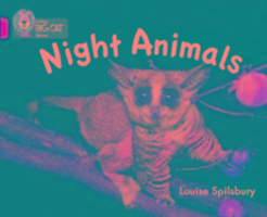 Night Animals Spilsbury Louise