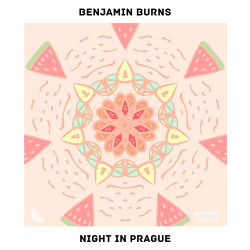 Night In Prague Benjamin Burns