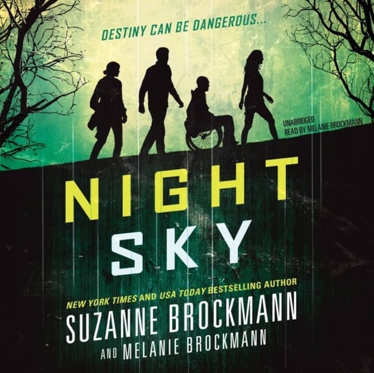 Night Sky Brockmann Suzanne, Brockmann Melanie