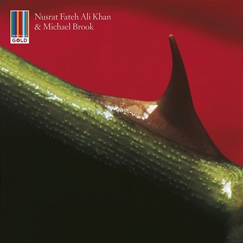 Night Song Michael Brook, Nusrat Fateh Ali Khan