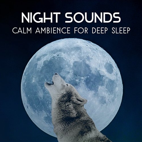 Night Sounds – Calm Ambience for Deep Sleep, Relaxation Music Therapy, Healing Serenity for Bedtime Deep Sleep Sanctuary