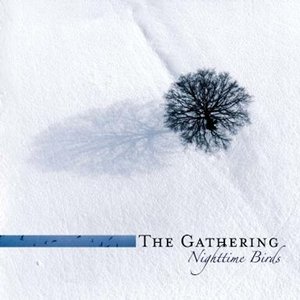 Nighttime Birds (Limited Edition) The Gathering