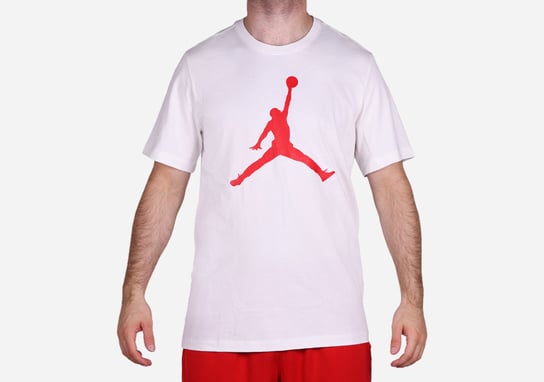Nike Air Jordan Iconic Jumpman Logo Tee White Jordan