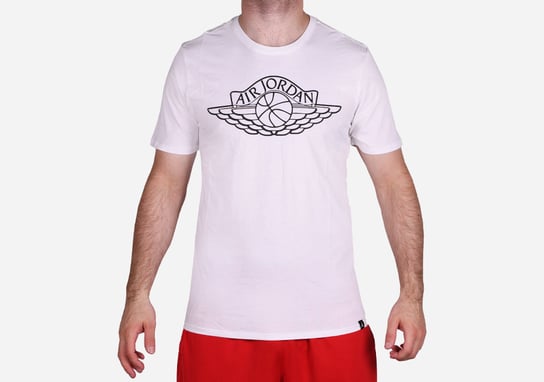 Nike Air Jordan Sportswear Wings Brand 5 Tee White Jordan