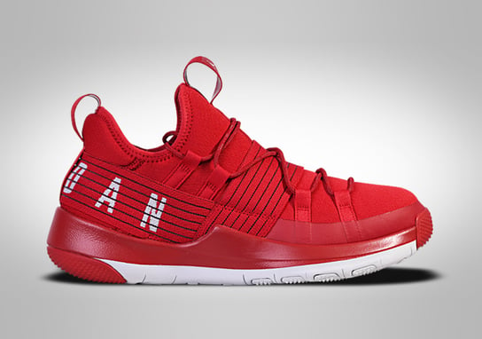 Nike Air Jordan Trainer Pro Red Jordan