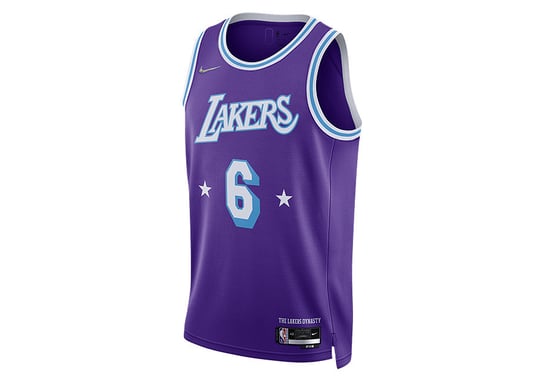 Nike Nba Los Angeles Lakers Lebron James City Edition 2021 Swingman Jersey Field Purple Nike