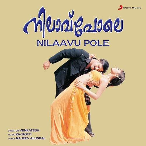 Nilaavu Pole Raj Kotti