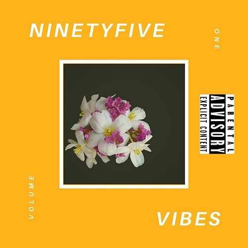 Ninety Five Vibes, Vol. 1 95 Vibes