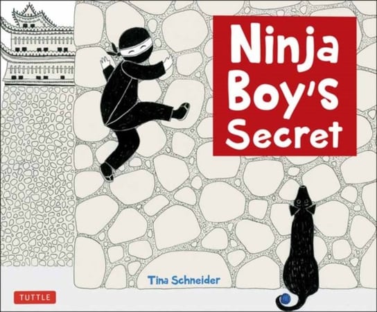 Ninja Boys Secret Tina Schneider