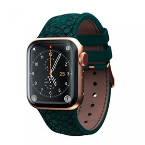 njord Pasek do Apple Watch 40/41 mm – zielony Konik