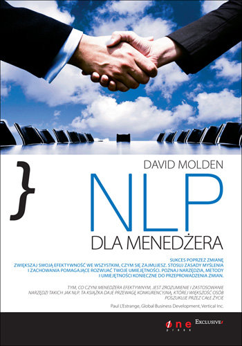 NLP dla menedżera Molden Dawid