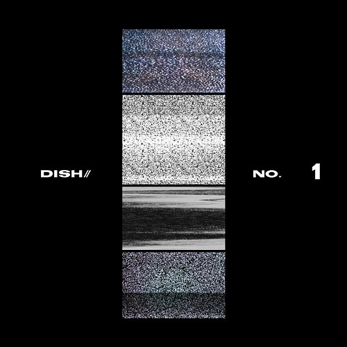 No.1 DISH