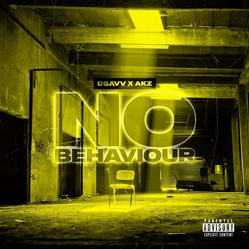 No Behaviour Dsavv & Akz